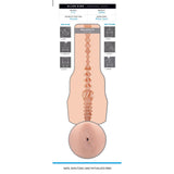 A diagram showcases the Fleshlight Fleshjack Boys Allen King: Realistic Male Masturbator Majestic Cake Butt, featuring its exclusive sleeve, detailed internal texture, usage and cleaning tips, character stats, and notes it’s SAFE, NON-TOXIC & PHTHALATE-FREE.