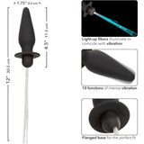The CalExotics Southern Lights Vibrating Light Up Butt Plug is a black silicone anal vibrator with a flanged base, light-up fibers, and 10 vibration functions. It measures 4.5" long by 1.75" wide.