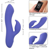 The CalExotics Connect Dual Stimulator by CalExotics features dual motors, a ridged texture, app control, 9 vibration functions, and an angled head for enhanced pleasure. Images display its vibrant purple design with dimensions and labeled features.