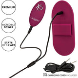 The CalExotics Dual Rider Remote Control Grinder is a magenta massager featuring an attached control pad, dual USB charging cord, and labels: “premium,” “incredible power,” and “state of the art.”.