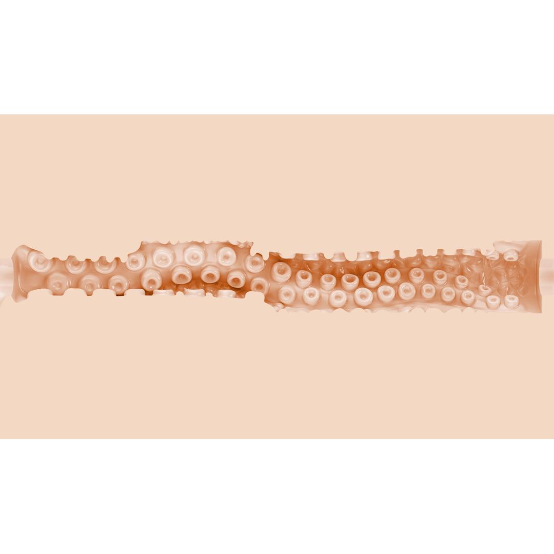 A detailed view of the Fleshlight Fantasy Sasha Nakamoto: Realistic Fantasy Male Masturbator by Fleshlight, showcasing its realistic texture and lifelike details, presented horizontally against a light beige background.